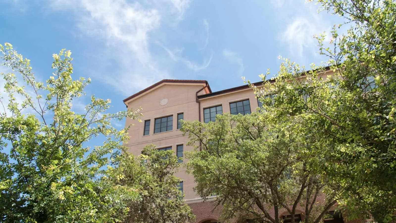 txst.edu.vn: website chính thức tại Việt Nam của Texas State University đã ra mắt